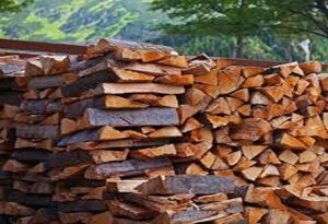 Best Firewood